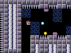 Biocide 3000 – Extermínio Total