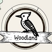 Birdlingo – Aventura com Aves e Palavras