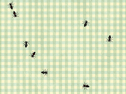 Bug Destroyer – Extermine os Insetos