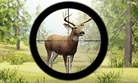 Contract Deer Hunter – Caçador de Cervos Profissional