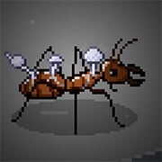 Cordyceps: Attack of the killer fungi – Fungos Assassinos