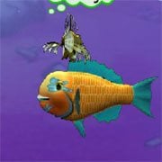 Feeding Frenzy – Frenesi Alimentar