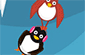 Flying Penguins – Pinguins Voadores