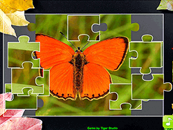 Jigsaw Puzzle Collection Animals – Quebra-Cabeças de Animais