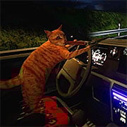 Nip For Speed – Corrida de Velocidade