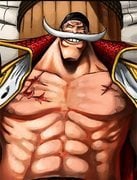 One Piece Ultimate Fight 1.6 – Batalha Épica dos Piratas