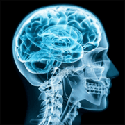 Operate Now: Brain Surgery – Simulador de Cirurgia Cerebral
