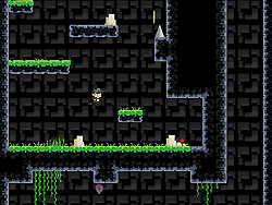 Pitboy Adventure – Aventura do Garoto da Floresta