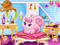 Princess Becomes a Cat Person – A Princesa Virou uma Gatona