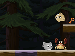 Rolling Cat – Gato Roda-Roda