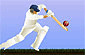 Top Spinner Cricket – Jogo de Críquete com Efeitos