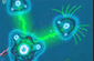 War of Cells – Batalha Celular